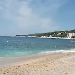 Le Mimosa