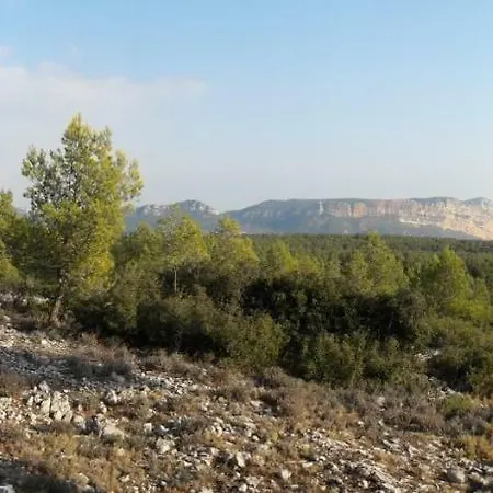 Appartement Le Mimosa Cassis