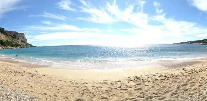 Le Mimosa * 카시스