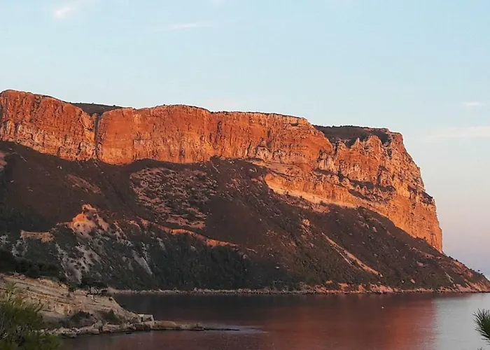 Le Mimosa 아파트 카시스