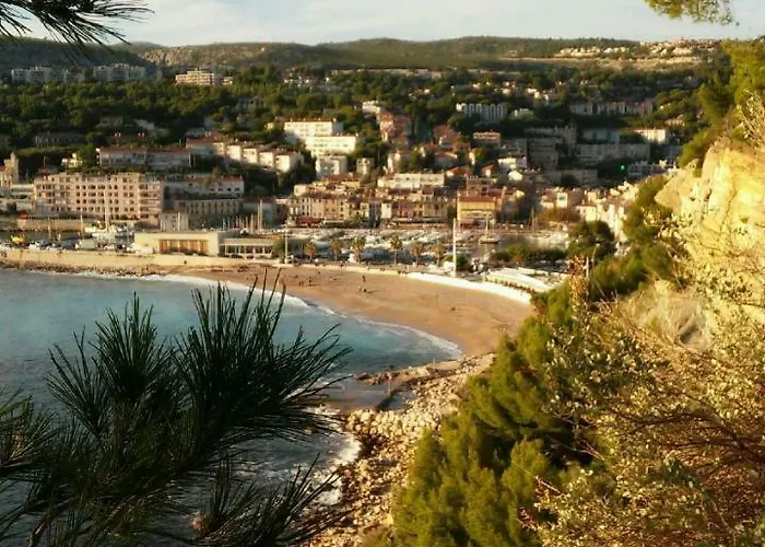 Le Mimosa * 카시스